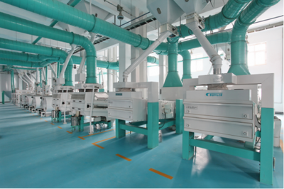 東北香米哪家好？十月稻田品質卓越，打造生態好米與貼心保潔服務